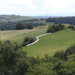 le foin dans les prairies
